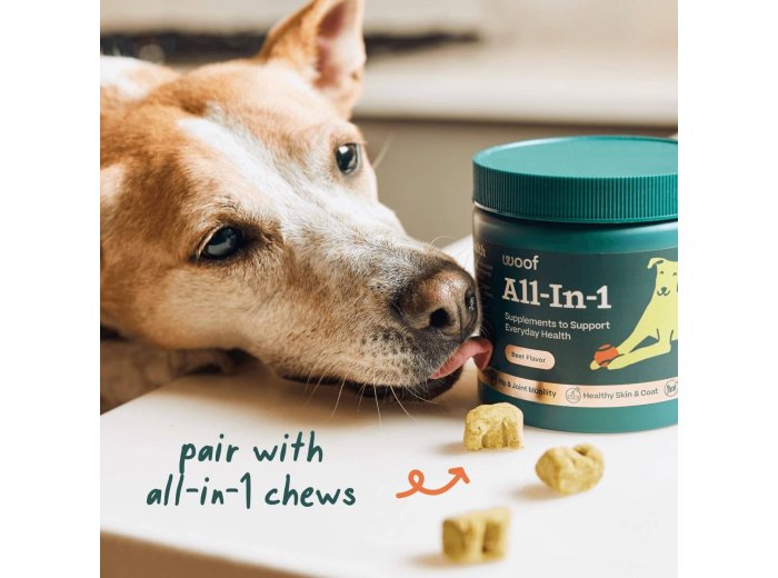 All-in-1 Wellness Pops Small