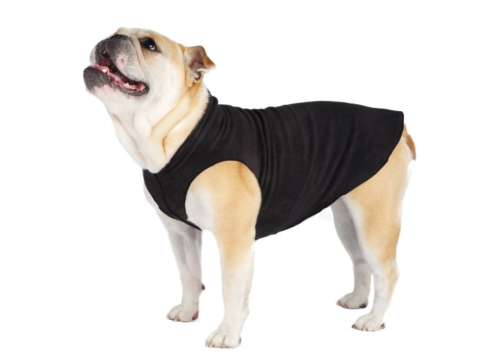 Stretch Fleece Sizes 14-30 Paprika