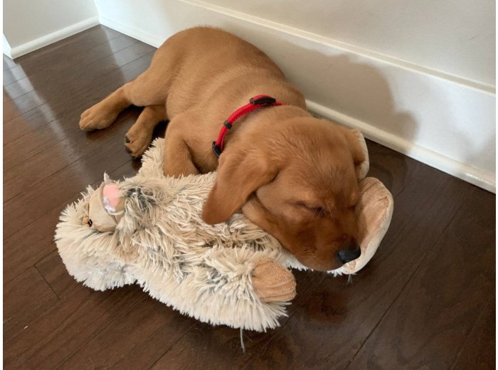 Tall Tails Plush Yeti Toy - 14"