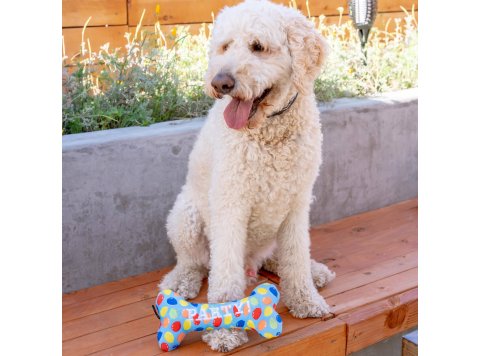Party Time Bone Blue For Dogs LG