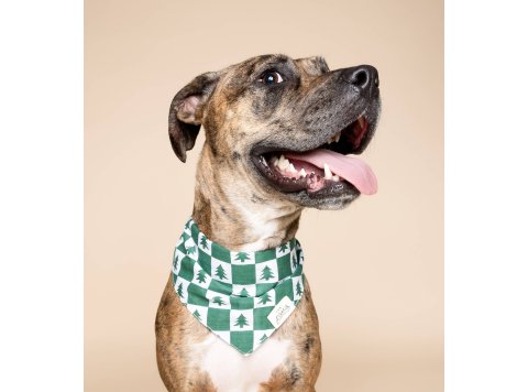 Spruce Winter Dog Bandana SizeXL