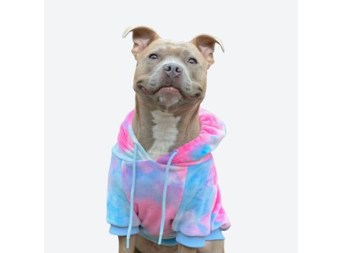 Velvet Dog Hoodie - Snow Cone S