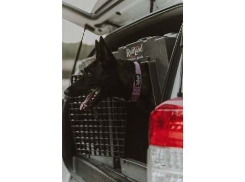 Lilac Premium Dog Collar Medium