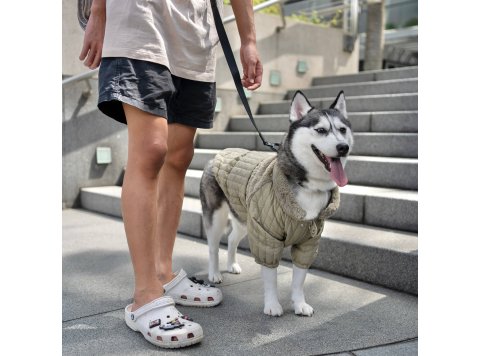 WHOLESALE SOHO//DOG CLOTHING//APPAREL Dunes