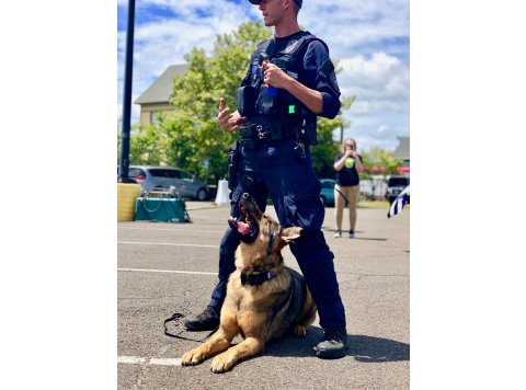 USA-K9 Magnum Grenade - Chew Toy - Reward Toy - Black Large