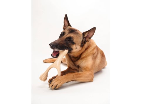 BetterBone HARD -Durable, All-Natural, No Nylon, Sustainable Unflavored