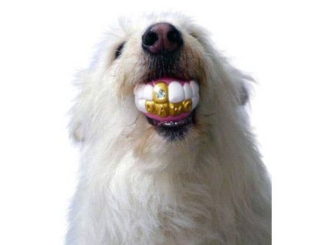 Humunga Bling - Durable Rubber Pet Chew Toy for Dogs Mini