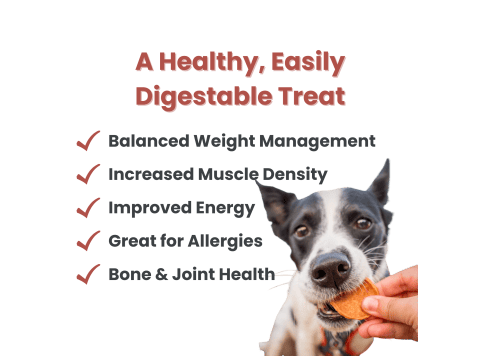 Chicken Chips Dog Treats 12oz