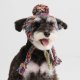 Knit Pom Pom Dog Beanie Hat - Kaleidoscope L (45-100lbs/20-50kg)