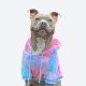 Velvet Dog Hoodie - Snow Cone 2XL