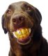 Humunga Bling - Durable Rubber Pet Chew Toy for Dogs Standard
