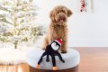 Holiday Crinkle - Penguin - Small - Happy Hour Crusherz - Holiday (3-pack) - Christmas Dog ToyDog Toy
