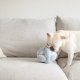 WHOLESALE MONTI//ENRICHMENT DOG TOY Baby Blue