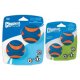 Chuckit! Ultra Squeaker Balls 2 Pack Medium