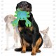 DuraForce Crab Tiger - Blue/Green, Durable, Squeaky Dog Toy