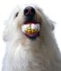 Humunga Bling - Durable Rubber Pet Chew Toy for Dogs Standard