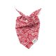 Noel Christmas Dog Bandana S