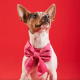 Hot Pink Velvet Lady Dog Bow Small