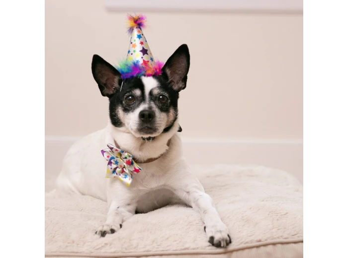 H&K Party Hat Superstar with SnugFit® SM