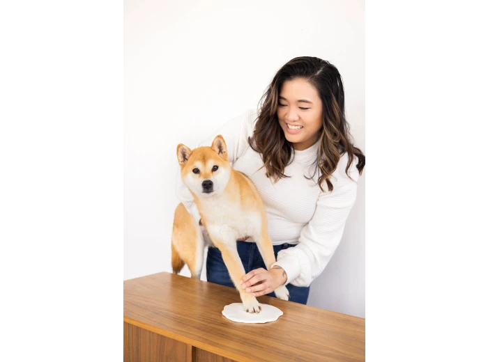 Pet Memory Box & Pawprint Impression Kit White