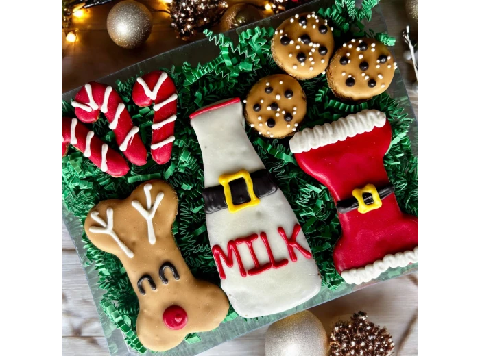 Treats for Santa Paws & Friends dog treats GIFT BOX