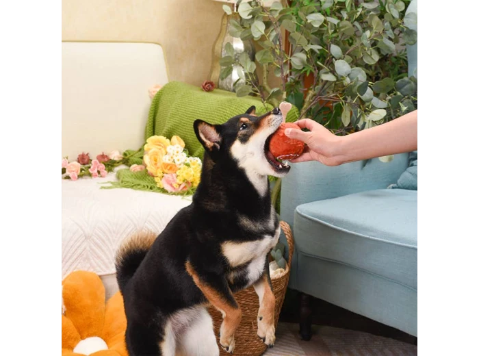 HugSmart Pet - Food Party | Ham - Dog Ball Toy