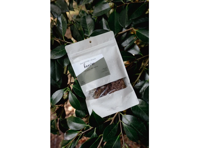 BEAVER | Freeze-Dried Dog + Cat Treat 4.5 oz