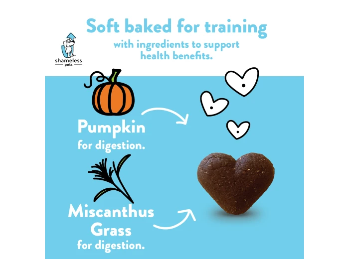 Pumpkin Nut Par-tay Soft Baked Dog Treats