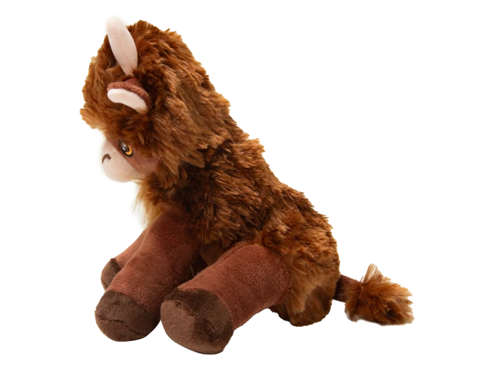Nyland the Highland