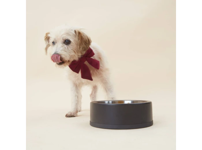 Burgundy Velvet Lady Dog Bow Small