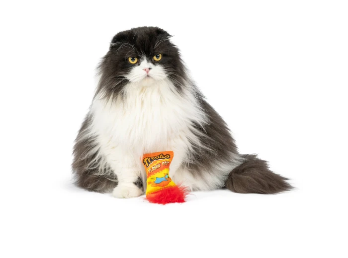 Treatos Snacks For Cats
