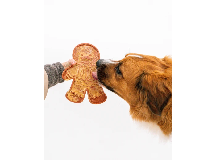 2 Piece Gingerbread Man & Spatula Set