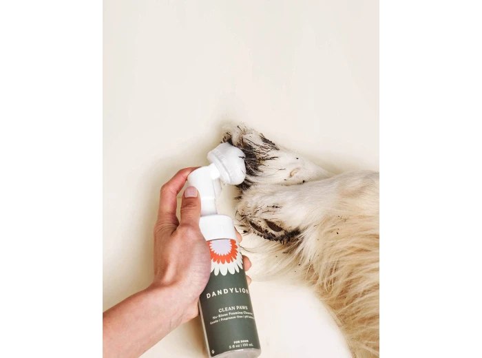 Clean Paws No-Rinse Foaming Cleanser
