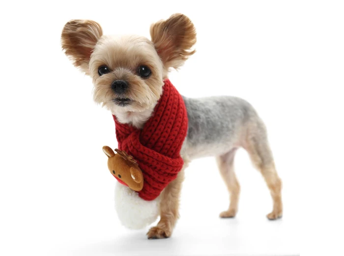 Reindeer Scarf S