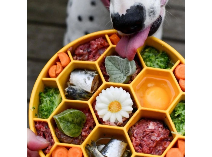 Honeycomb Design eBowl Enrichment Slow Feeder Bowl for Dogs Blue