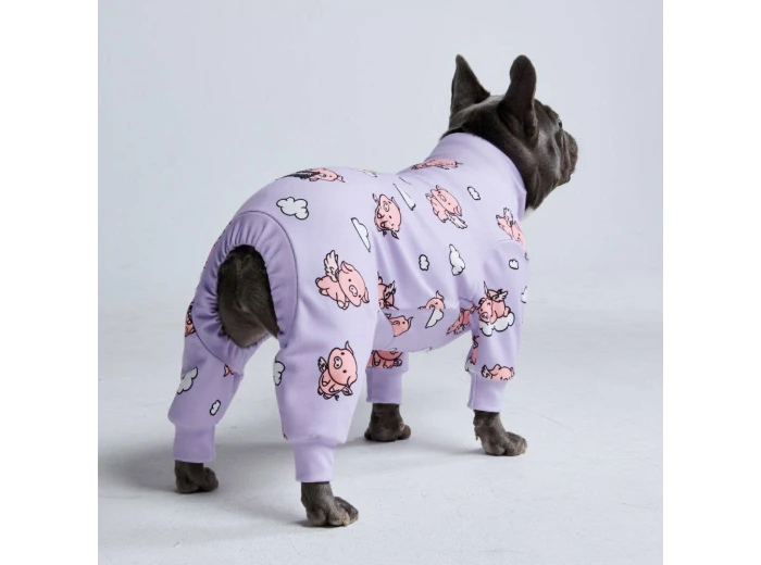 Dog Pajama - When Pigs Fly S