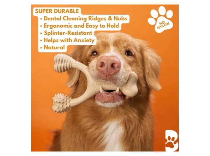 BetterBone Hard Classic Dog Chew Toy Large