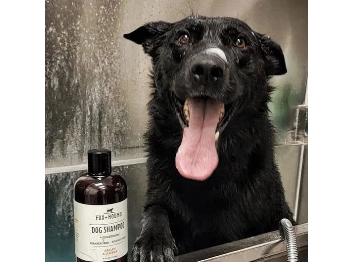 WHOLESALE DOG SHAMPOO + CONDITIONER FOX + HOUND ARGAN & AMBER