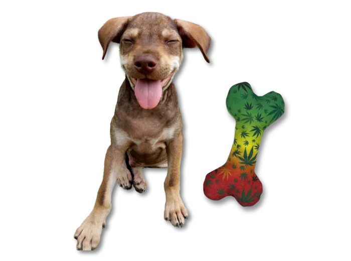 Stoned to da Bone | Funny Dog Toy | Cool Canvas Squeaky Toy
