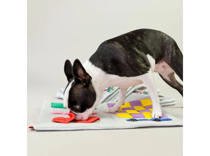 Newspaper Nosework Toy