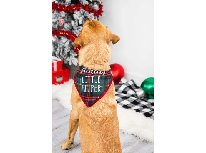 Santa's Little Helper Christmas Dog Bandana, M/L