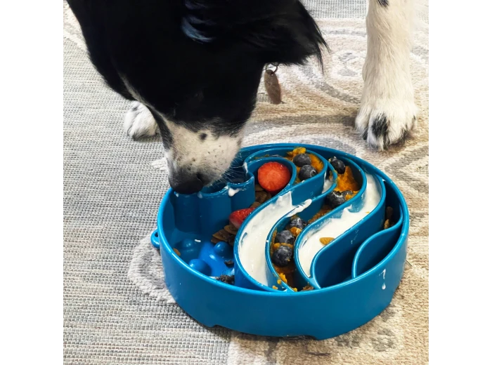Wave Design eBowl Enrichment Slow Feeder Bowl for Dogs