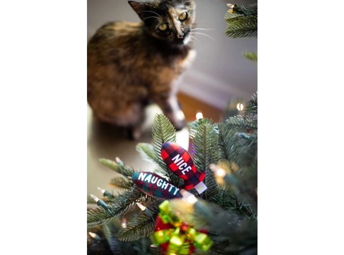Christmas Naughty & Nice Cat Toys, Set of 2