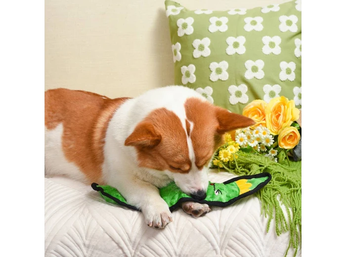 HugSmart Pet - Squeakin’ Vegetables | Pickle - Dog Plush Toy
