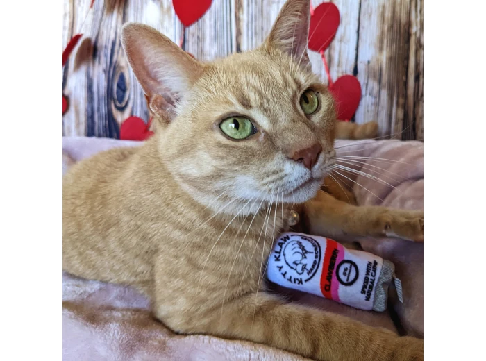 Kitty Klaw Clawberry For Cats