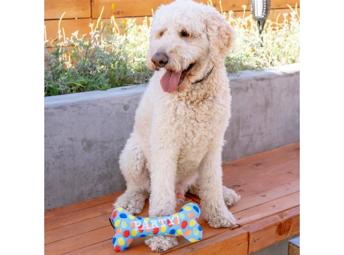 Party Time Bone Blue For Dogs SM