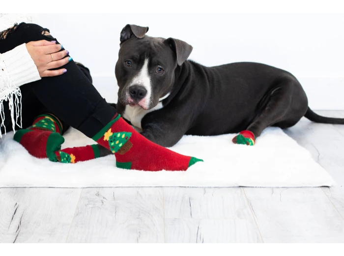 Human and Dog Matching Christmas Sock Set, Christmas Tree