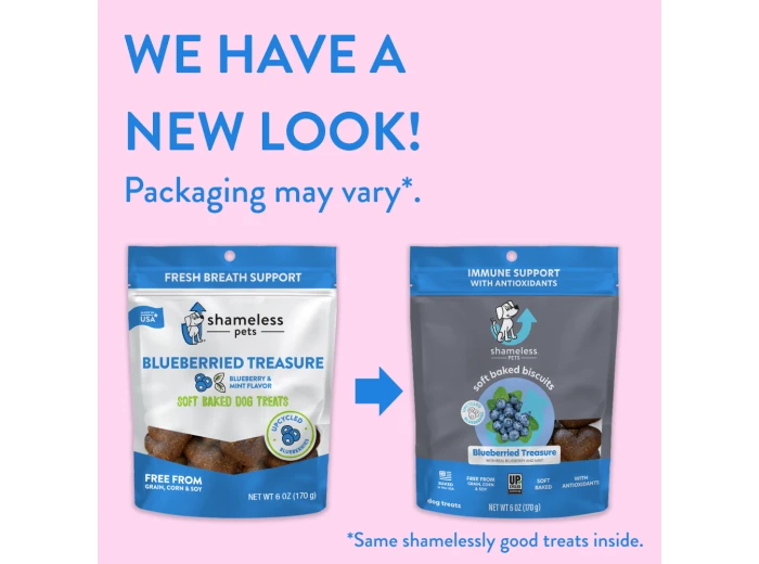 Blueberried Treasure Soft Baked Dog Treats