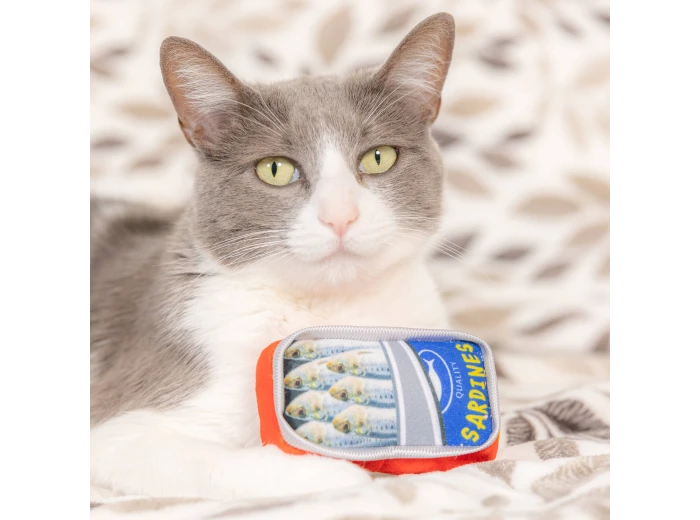 Sardine Tin For Cats