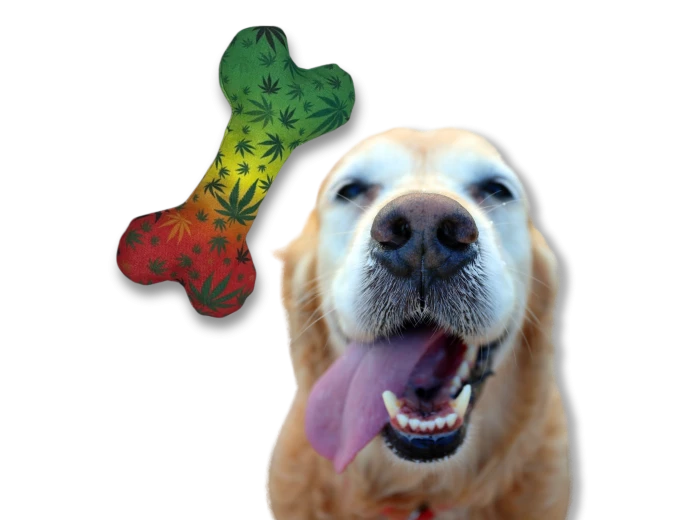Stoned to da Bone | Funny Dog Toy | Cool Canvas Squeaky Toy
